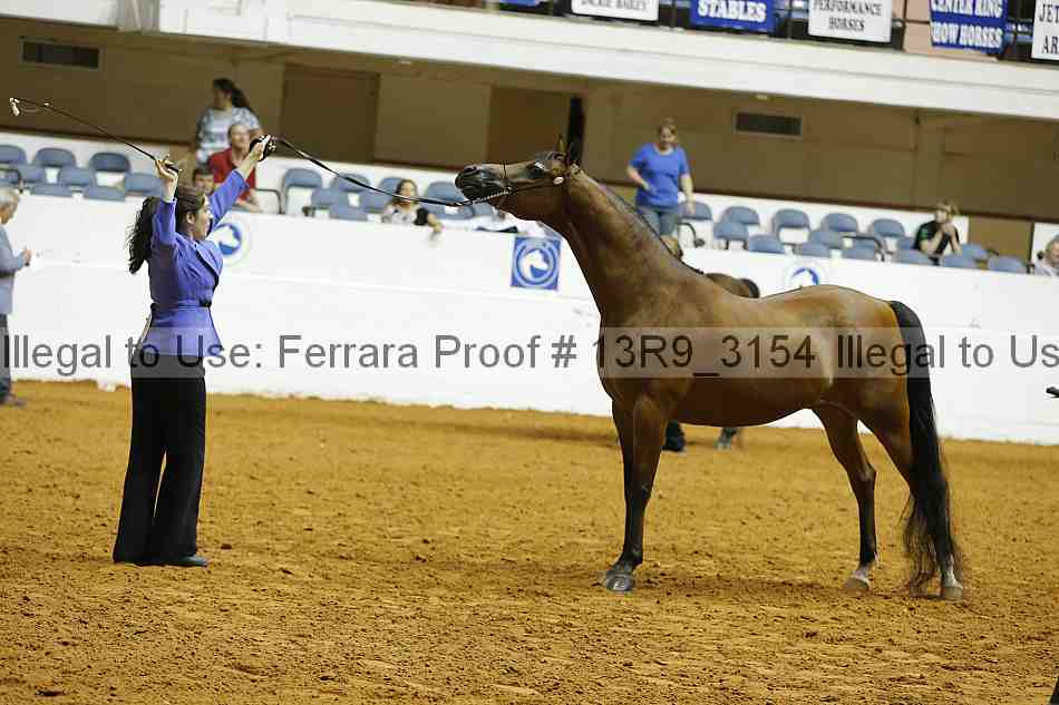 Proof 13r9_3154