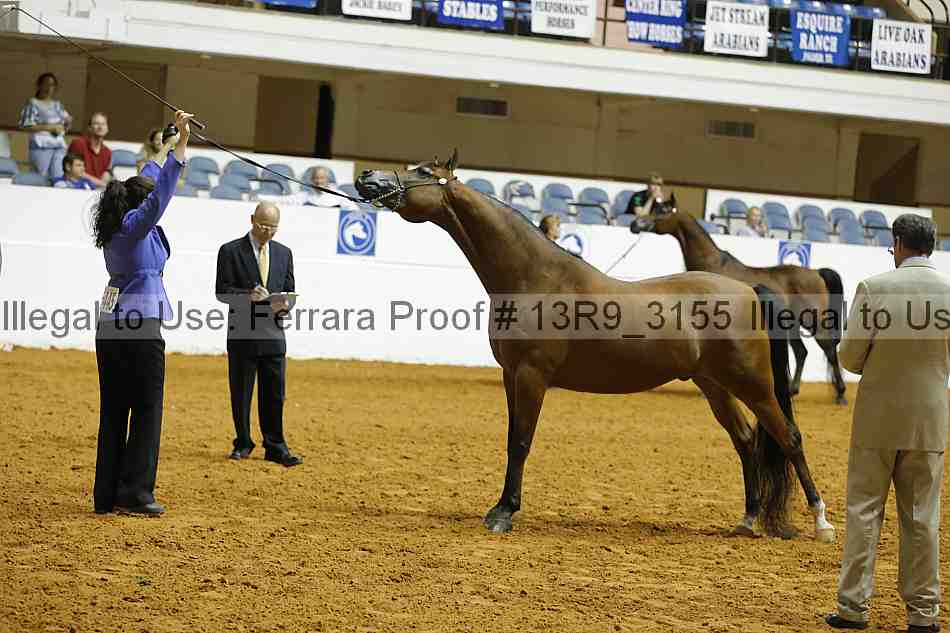 Proof 13r9_3155