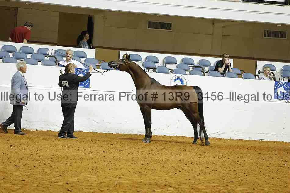 Proof 13r9_3156