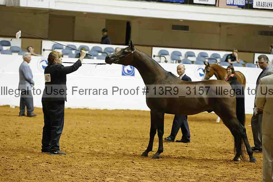Proof 13r9_3157