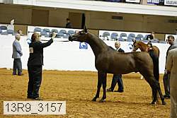 13r9_3157 proof