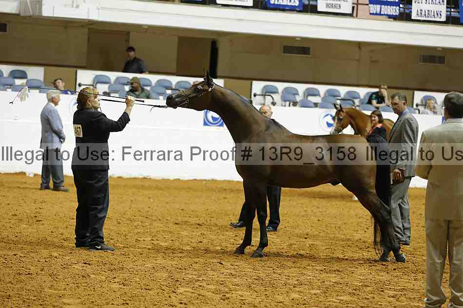Proof 13r9_3158