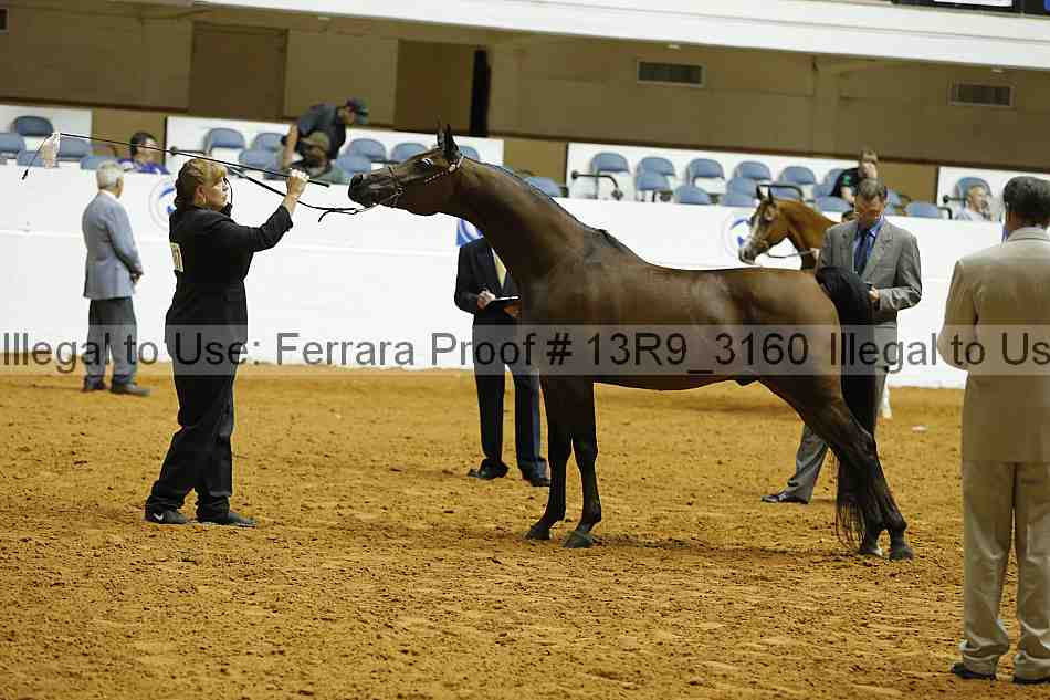 Proof 13r9_3160
