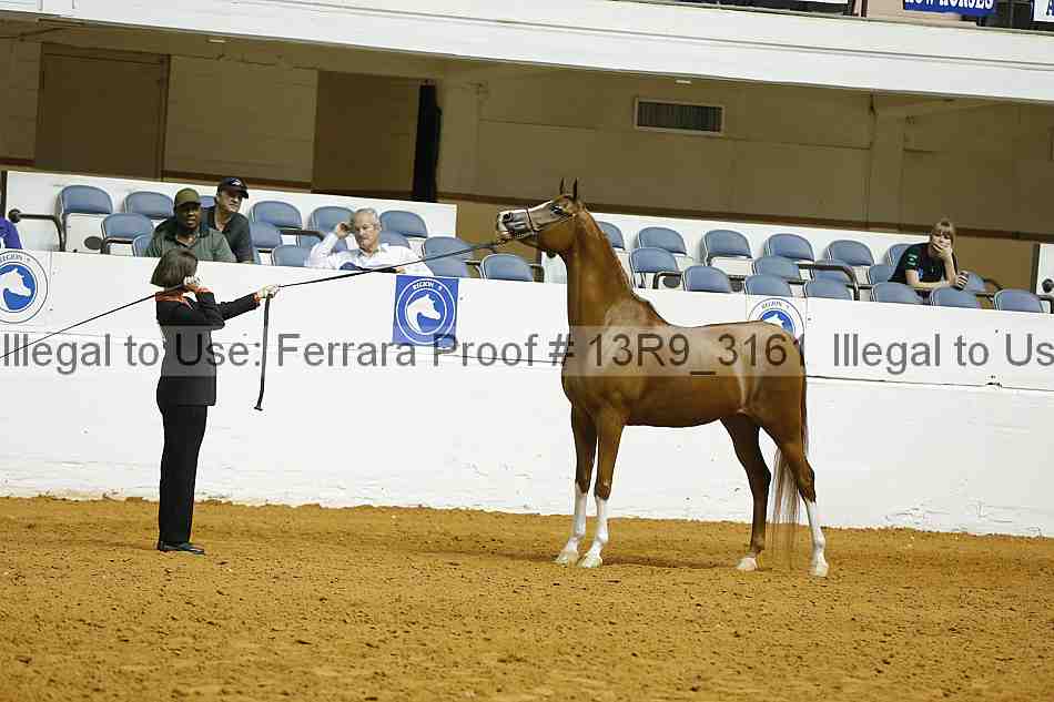 Proof 13r9_3161