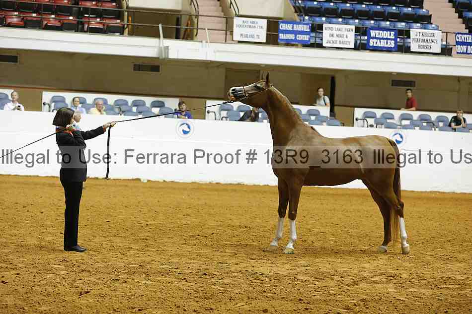 Proof 13r9_3163
