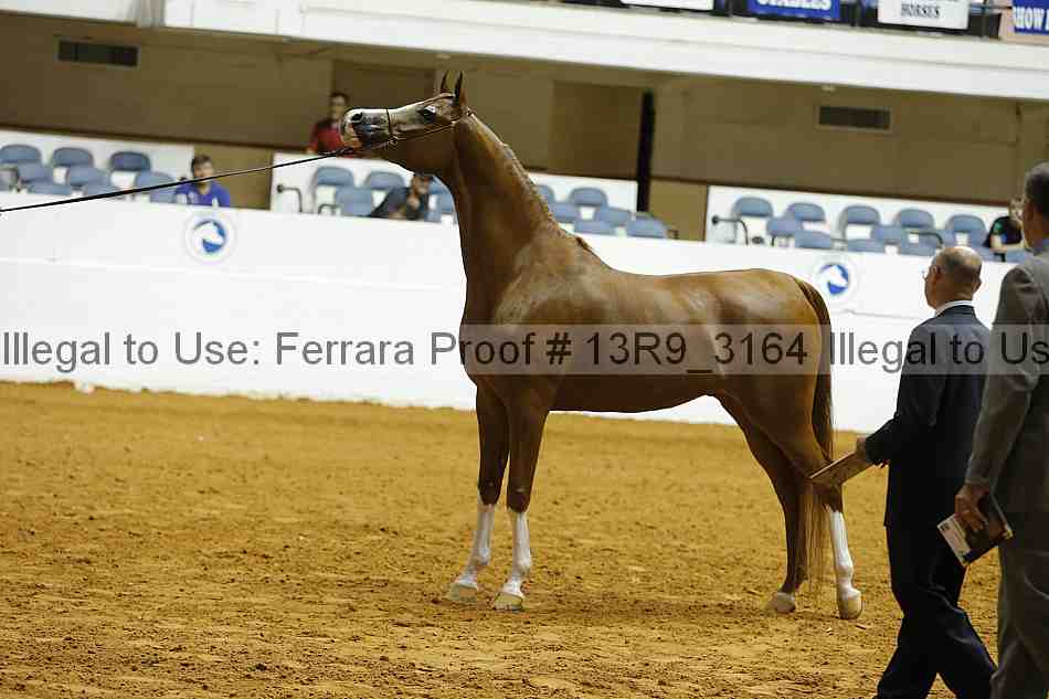 Proof 13r9_3164