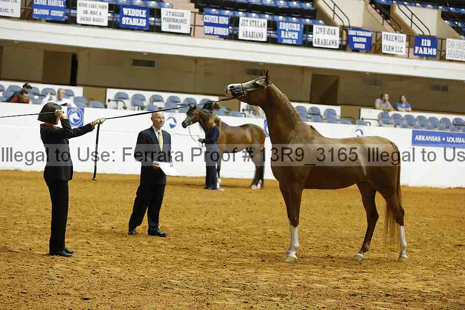 Proof 13r9_3165