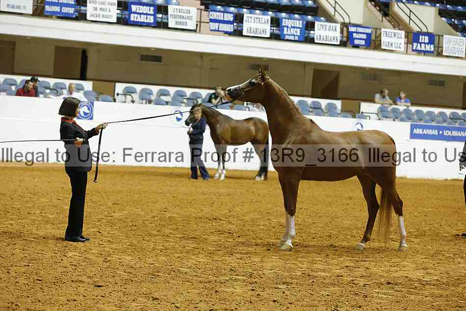 Proof 13r9_3166