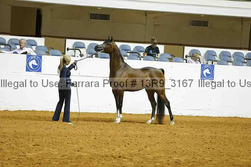 Proof 13r9_3167