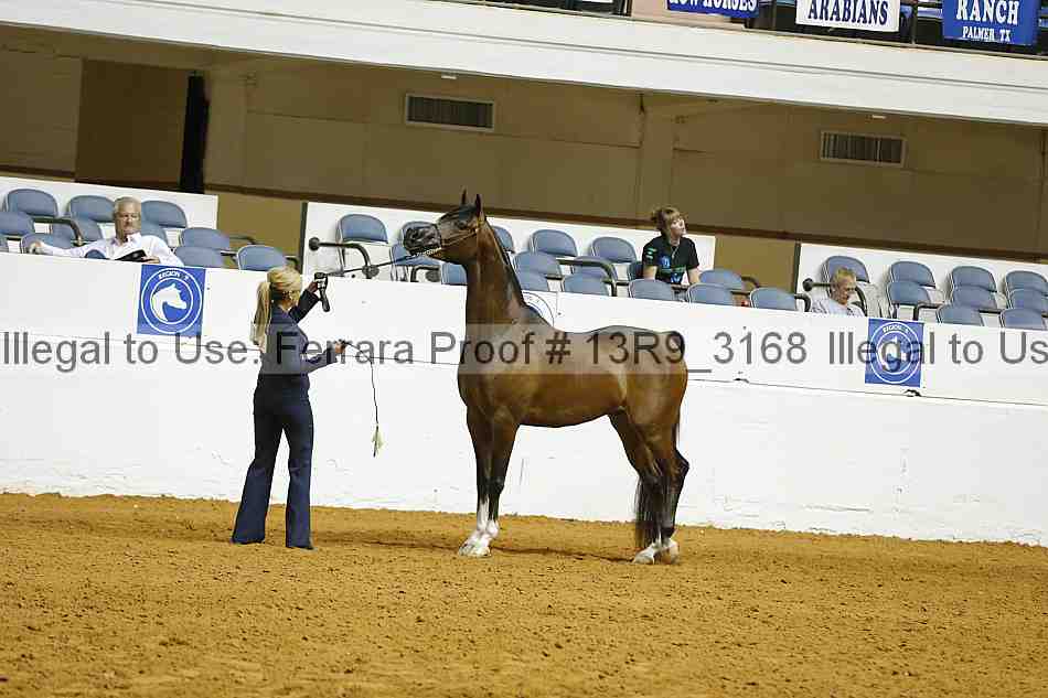 Proof 13r9_3168