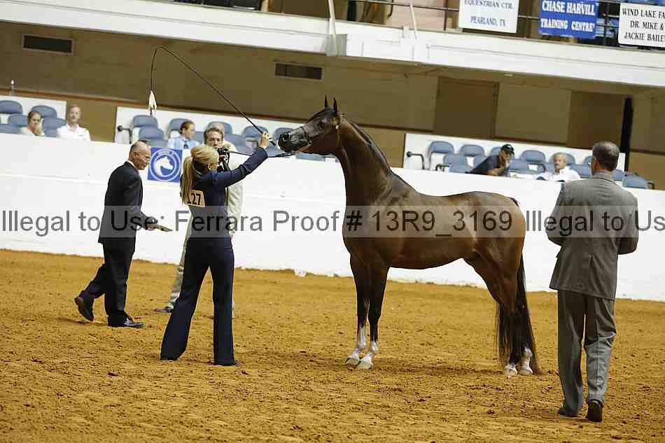 Proof 13r9_3169