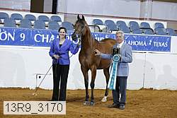 13r9_3170 proof