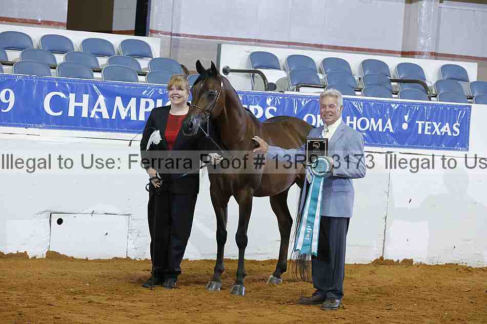 Proof 13r9_3173