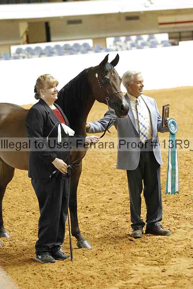 Proof 13r9_3176
