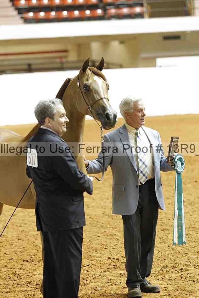 Proof 13r9_3179
