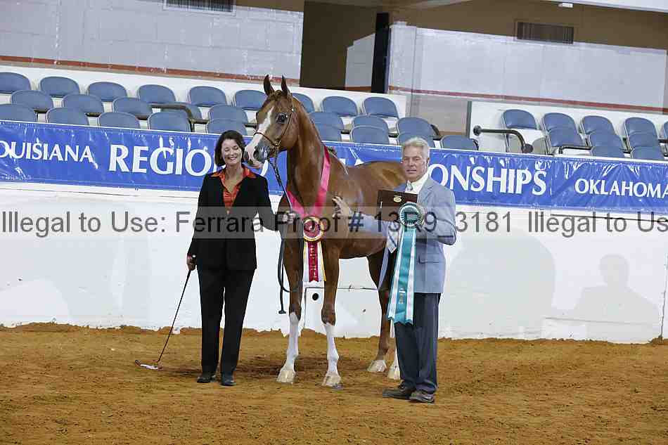 Proof 13r9_3181
