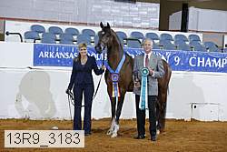 13r9_3183 proof