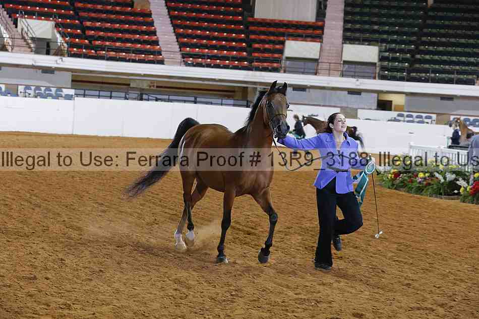 Proof 13r9_3188