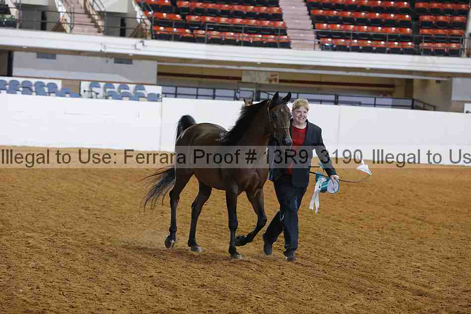 Proof 13r9_3190