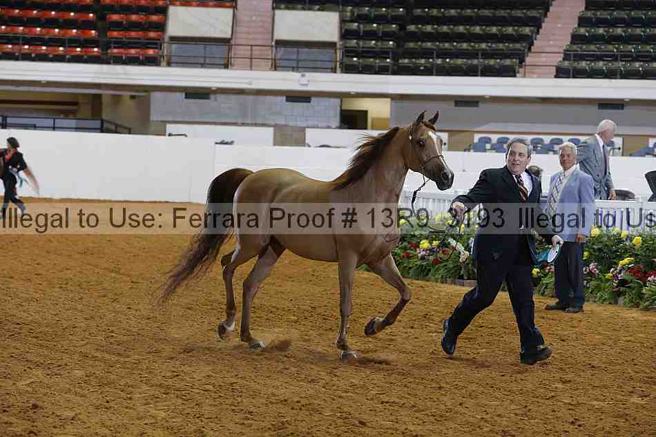 Proof 13r9_3193