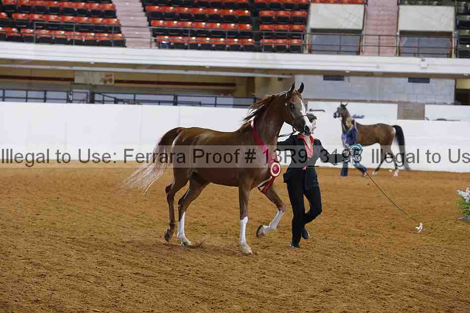 Proof 13r9_3195
