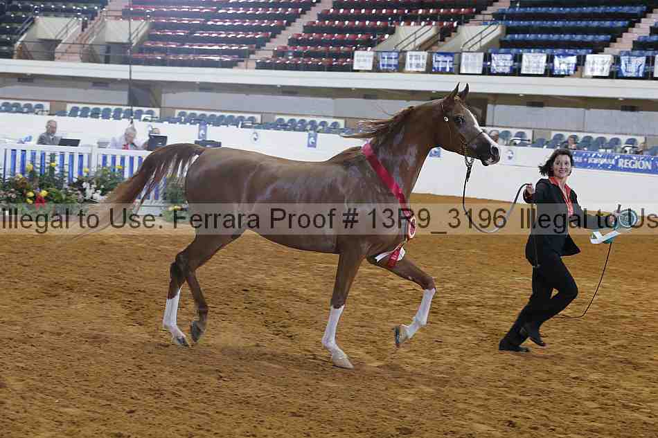Proof 13r9_3196
