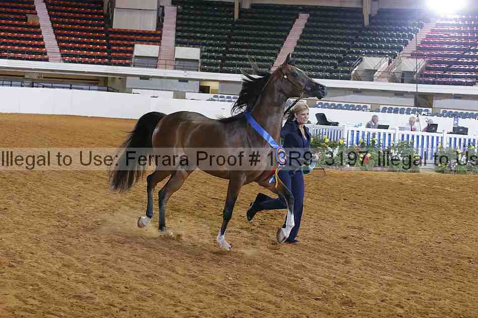 Proof 13r9_3197