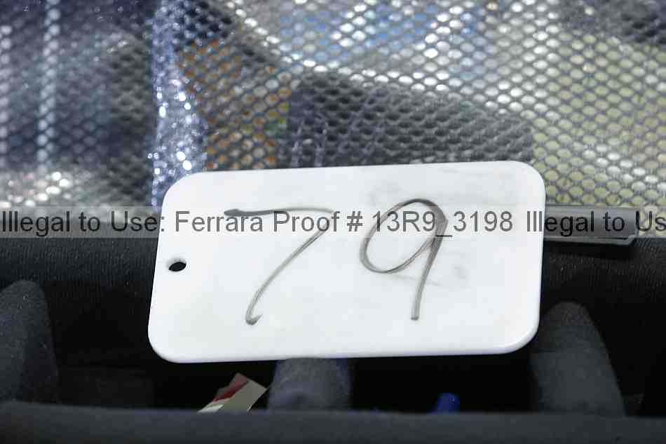 Proof 13r9_3198