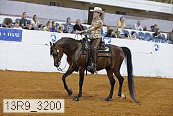 13r9_3200 proof