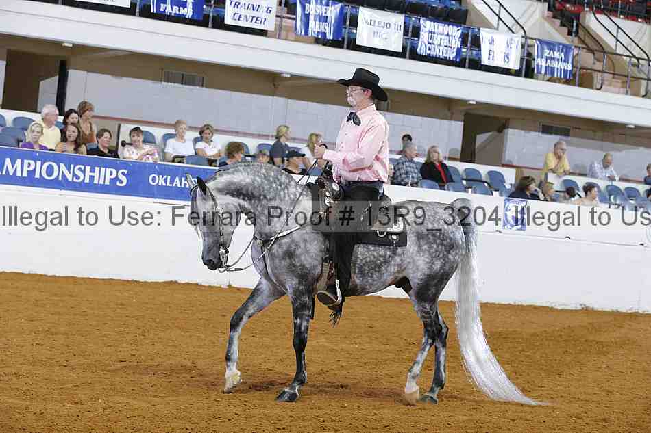 Proof 13r9_3204