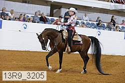 13r9_3205 proof