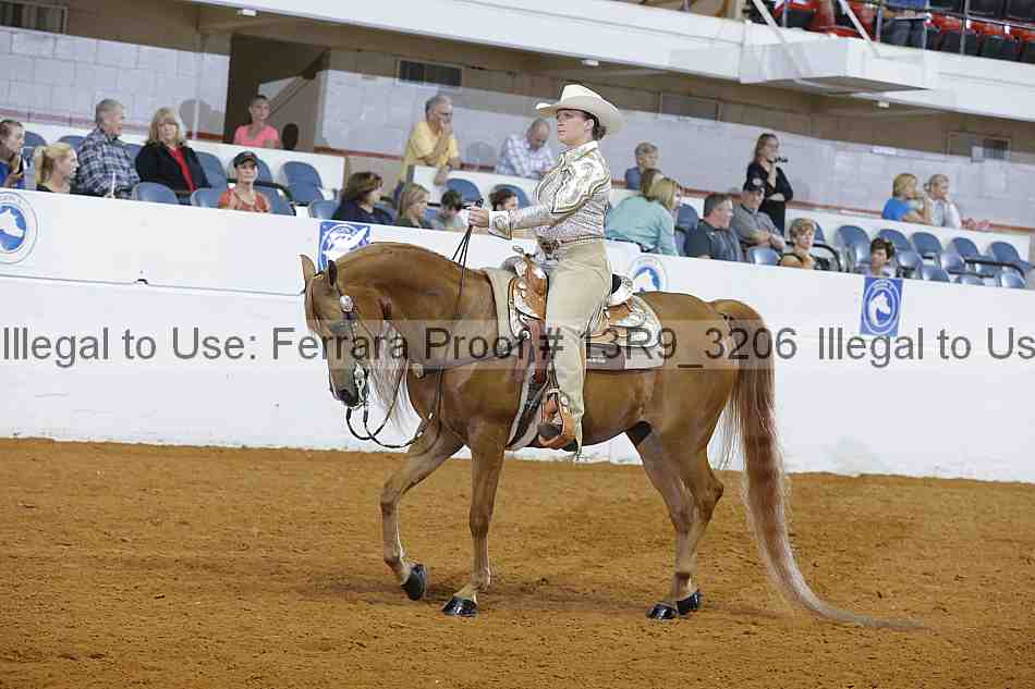 Proof 13r9_3206