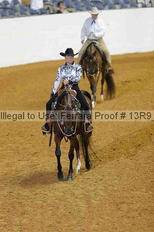 Proof 13r9_3208