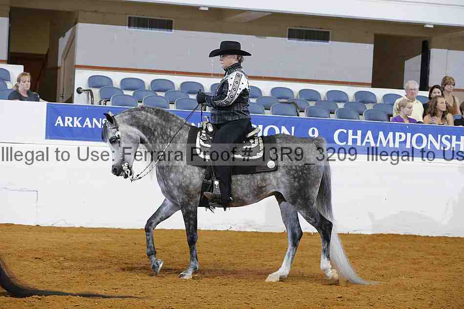 Proof 13r9_3209