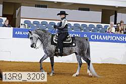 13r9_3209 proof