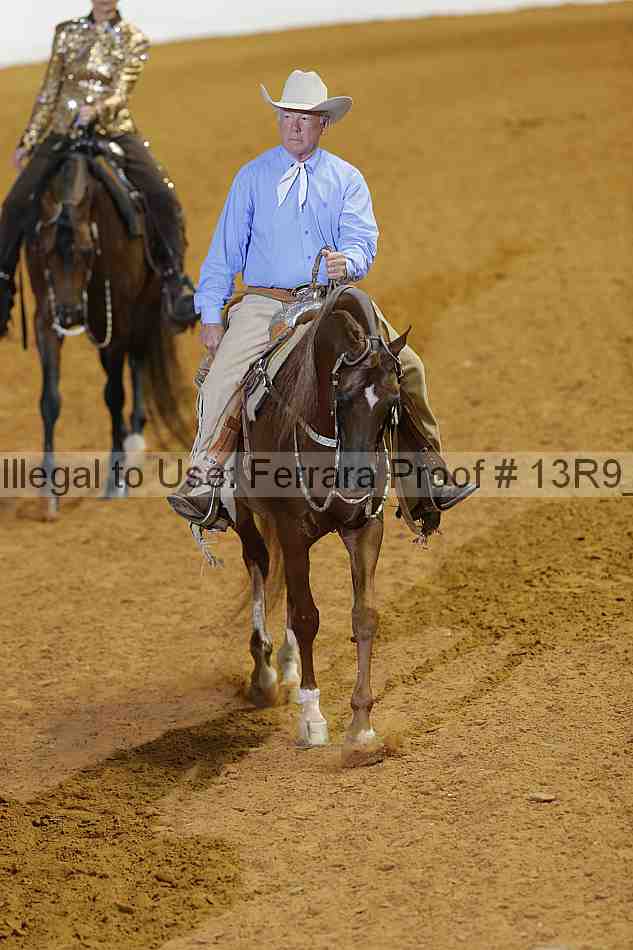 Proof 13r9_3218