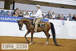 13r9_3238 proof