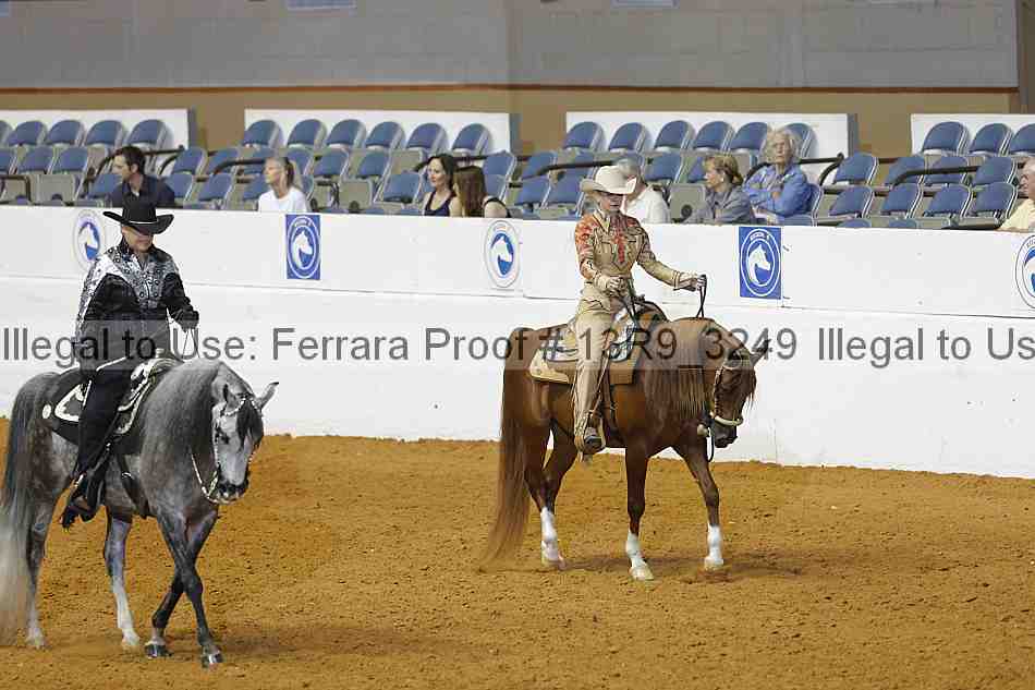 Proof 13r9_3249