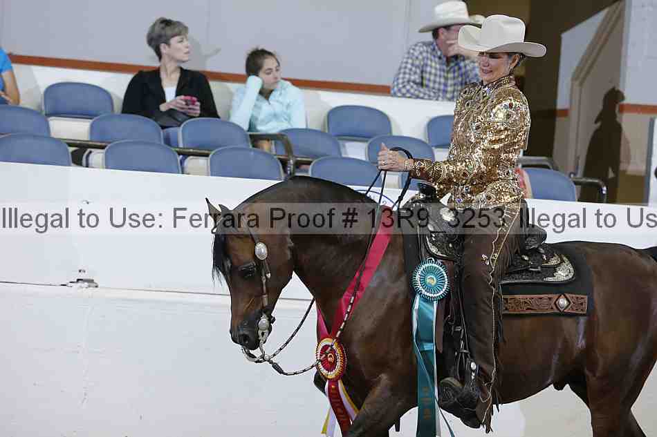 Proof 13r9_3253