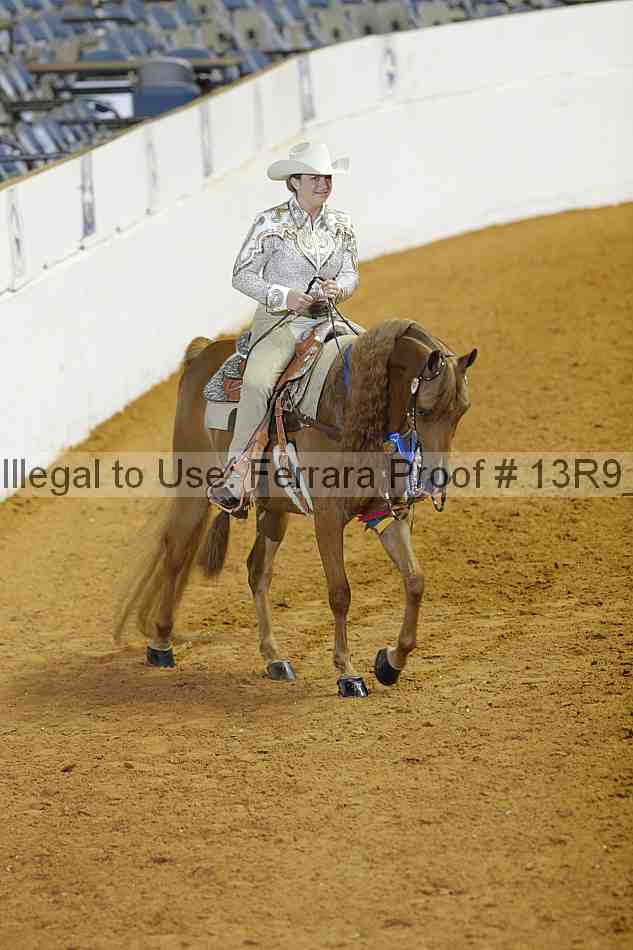 Proof 13r9_3259