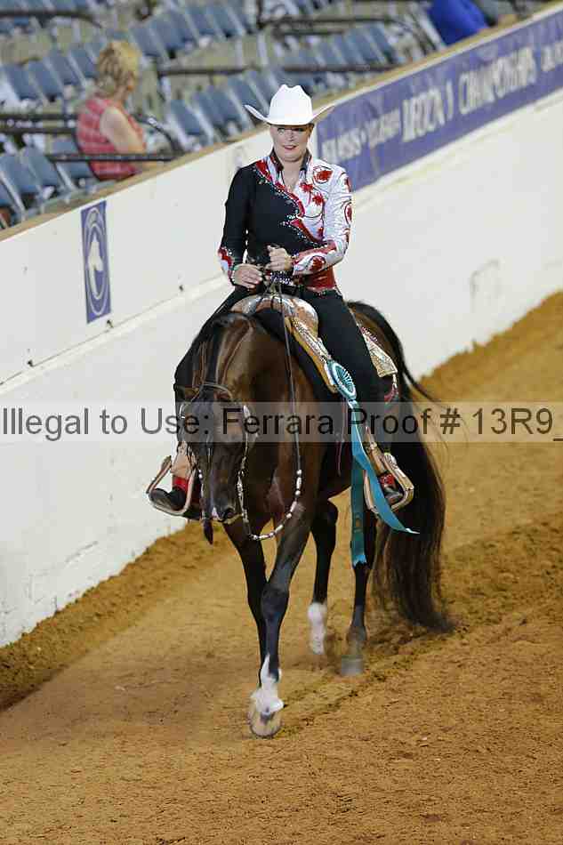 Proof 13r9_3264