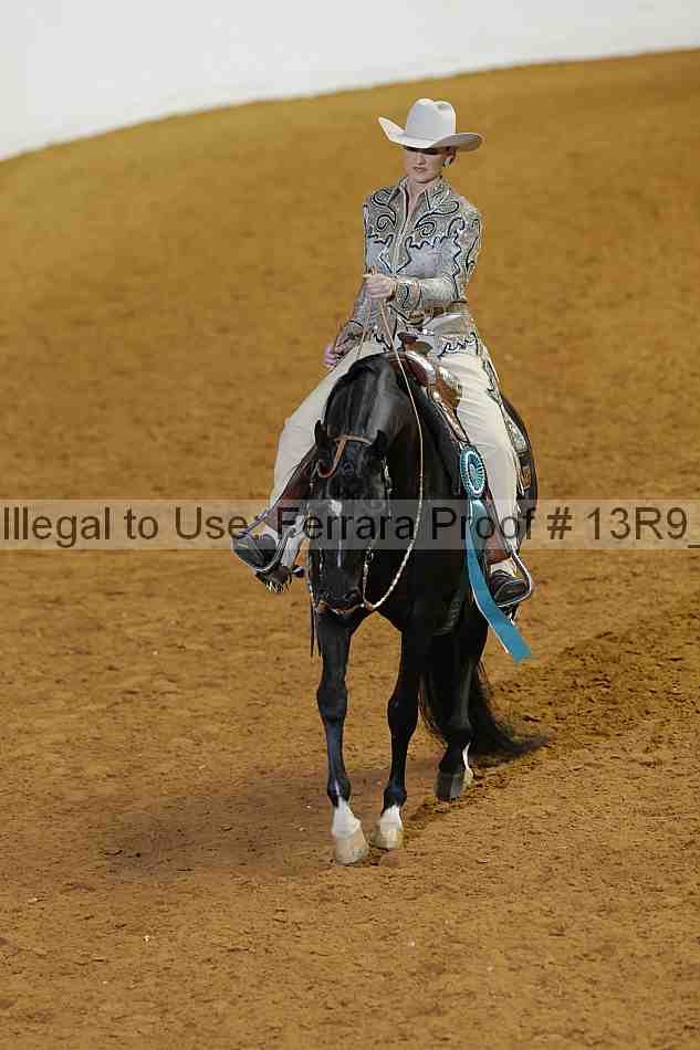 Proof 13r9_3271
