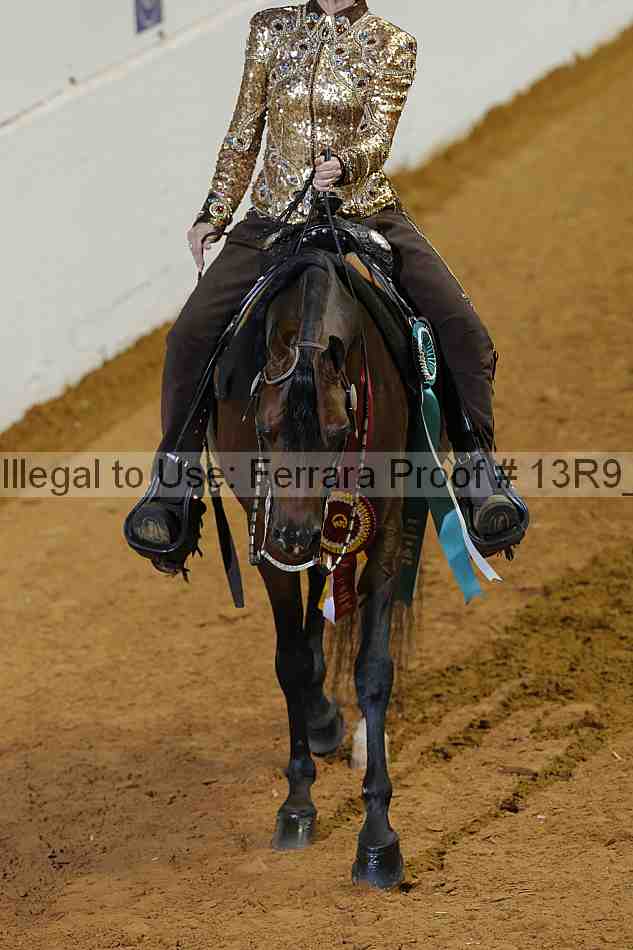 Proof 13r9_3275