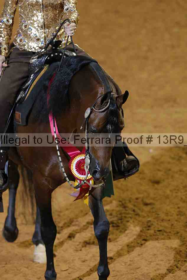 Proof 13r9_3279
