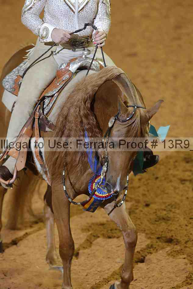 Proof 13r9_3283