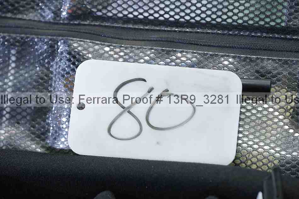 Proof 13r9_3281