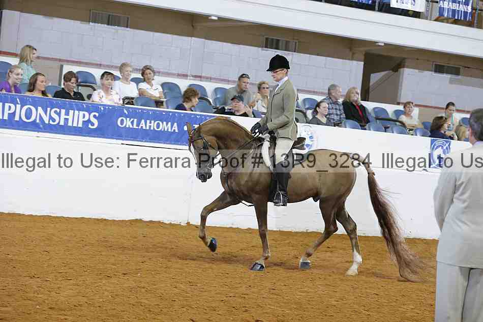 Proof 13r9_3284