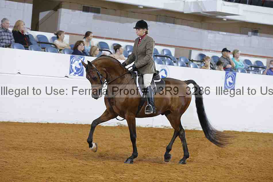 Proof 13r9_3286