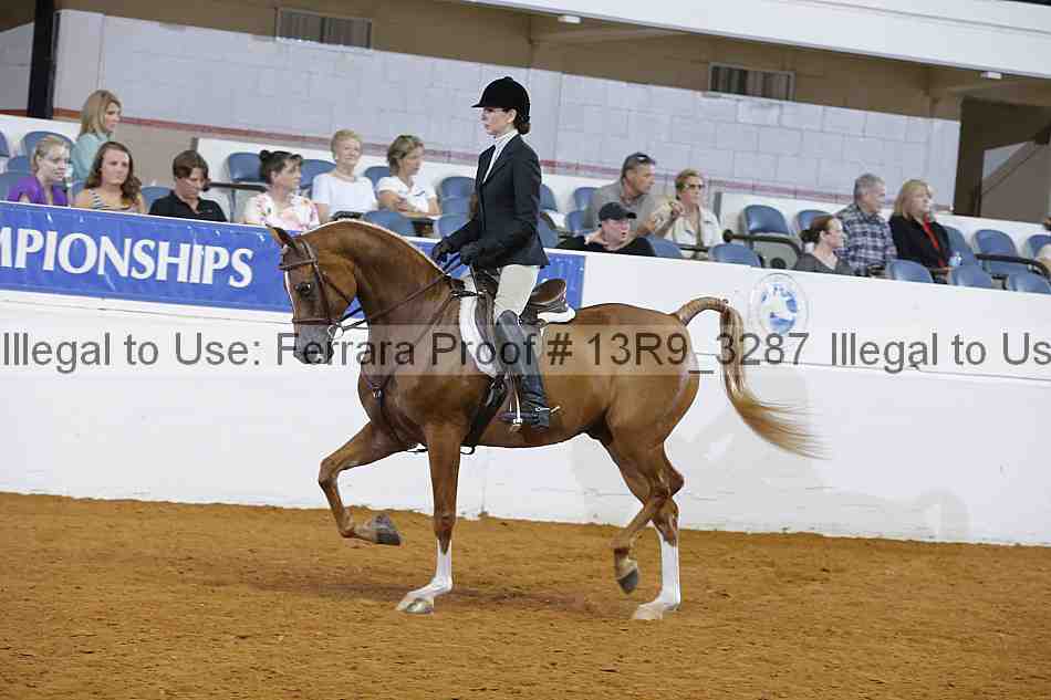 Proof 13r9_3287