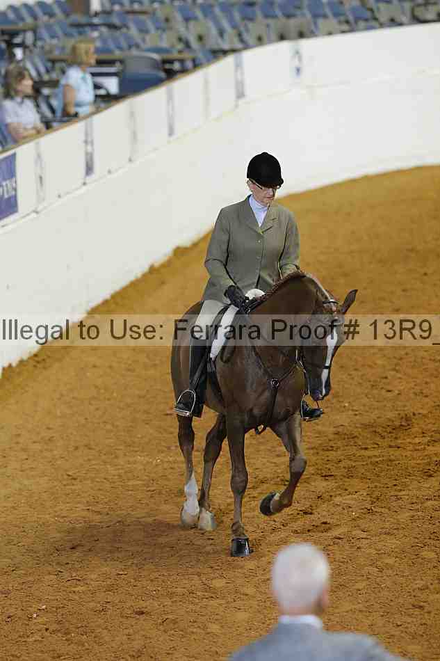 Proof 13r9_3288